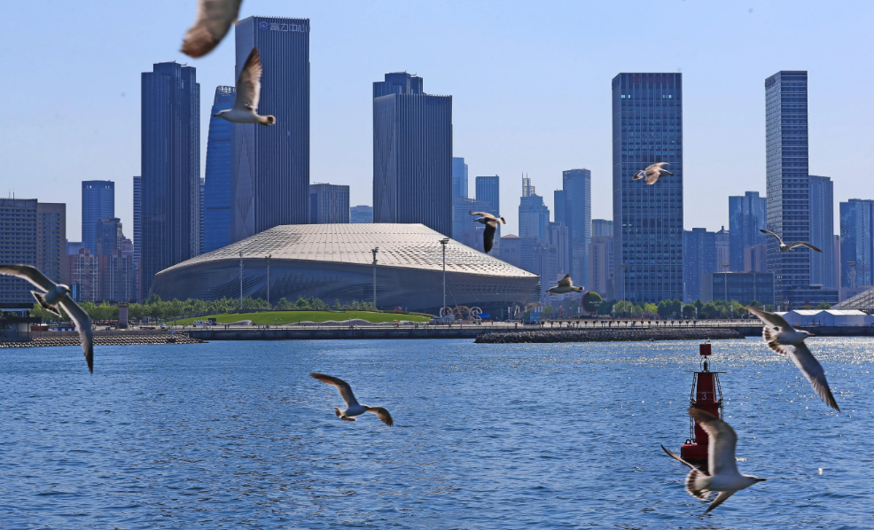 擲地有聲，重拳出擊！寰宇原木SPC海洋扳，高端裝飾的不二之選。